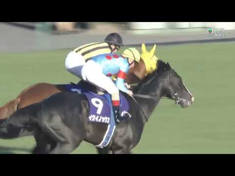 日本有馬紀念賽 Arima Kinen 一級賽 G1 2022-12-25 2500m 春秋分 Equinox 中山競馬場 Nakayama Racecourse