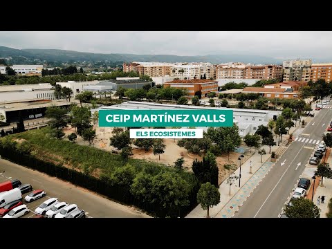 CEIP Martínez Valls - Els ecosistemes