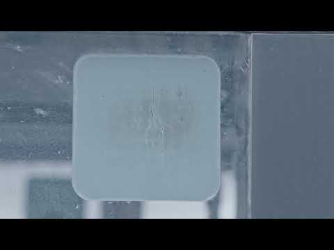 Busrettung - Zugang über Seitenfenster