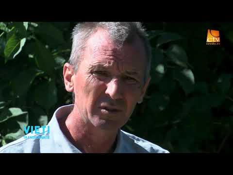 Ep.061.  Vieți Transformate - Cătălin Necolau