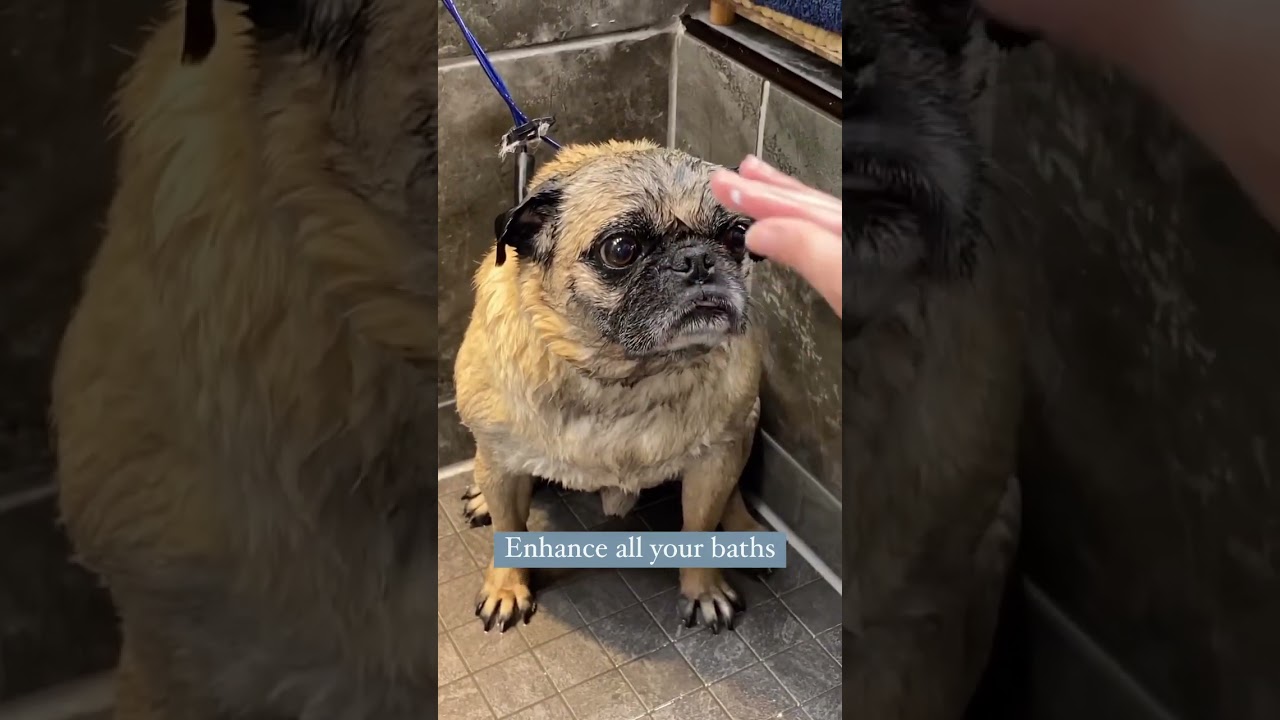 Hydra Senses Care Kit