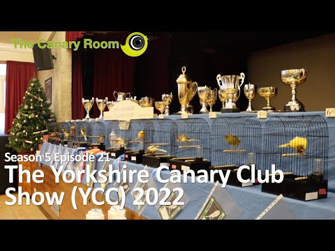 The Canary Room Season 5 Ep 21 - The Yorkshire Canary Club (YCC) 2022 Show