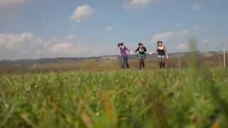 Cobra Starship: Pete Wentz is the only reason we&#39;re famous Music Video