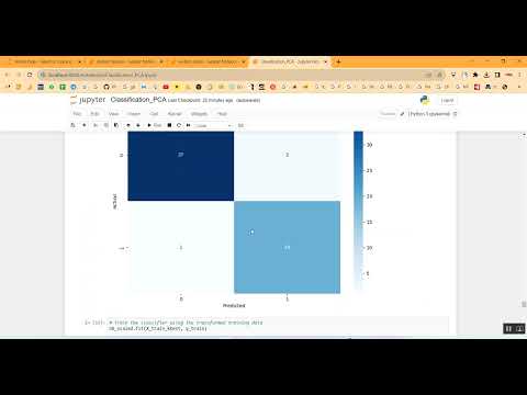 Autism Meltdown in Python Projects