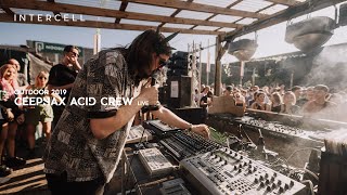 Ceephax Acid Crew [live] DJ set