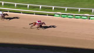 America's Day at the Races - Saturday October 17, 2026