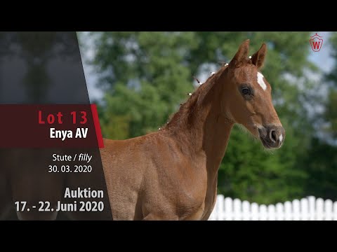 13 Enya AV Stute v. Emanuel - Sir Heinrich