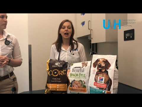 Is there a link between Grain Free Pet food and Dilated Cardiomyopathy