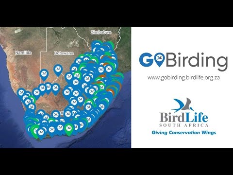 African Bird Fair 2022 - GoBirding: South Africa's avitourism portal (Andrew de Blocq)