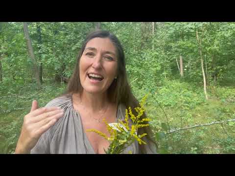 Maria Himmelfahrt   -  Kraft der großen Göttin