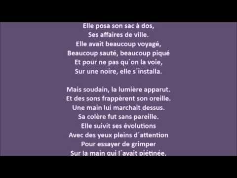 La puce et le pianiste - Baptiste - 06-03-2014