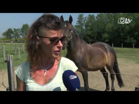 Izdvojeno - 10.9.2016.