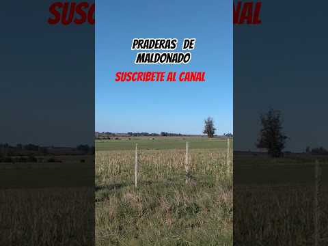 Campos de Maldonado Uruguay