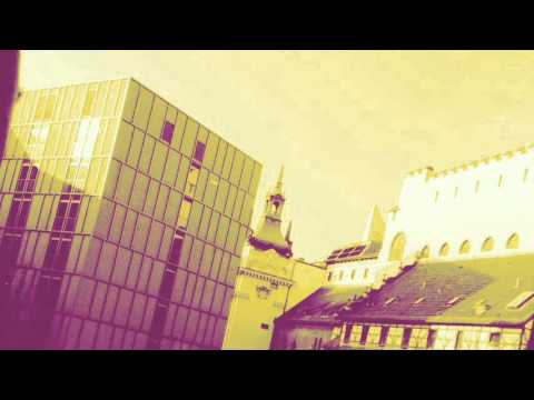 Sufist - Zeit (Zerschmetterling-Mix)