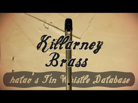 Tin Whistle Database ep.1 Killarney Whistle - Brass