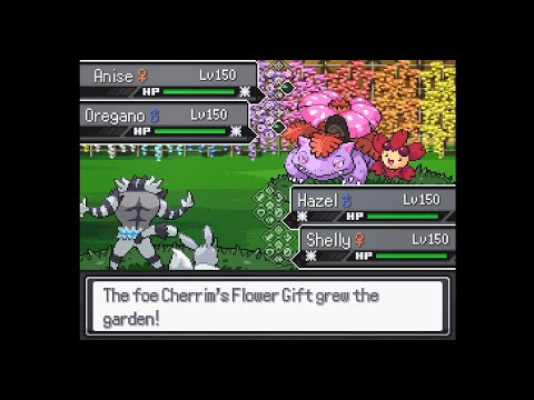 Pokemon Reborn Custom Battle Showcase: VS Monotype Champions(Part 1)