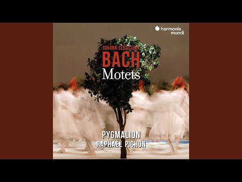 Cantiones sacrae de praecipuis festis totius anni: Tulerunt Dominum meum (Bonus Track)