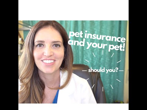 THE BEST Pet Insurance for Dogs and Cats