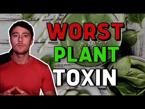 , title : 'Oxalate is the WORST dietary plant toxin: 6 reasons why'