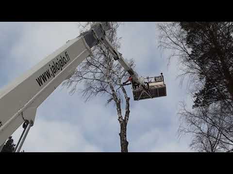 Metsola testaa 6, Ms 193 ja Ms 462 tositoimissa puunkaadossa.