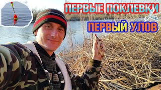 Fion. ru форум земляков отчеты о рыбалке курганская область