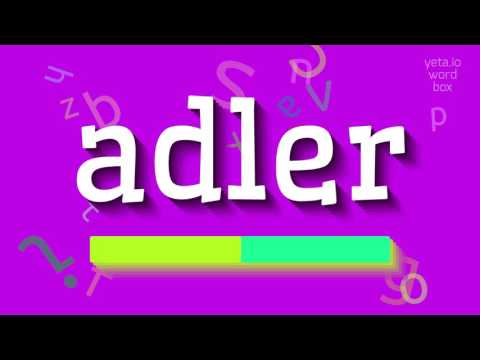 ADLER - How to pronounce Adler?
