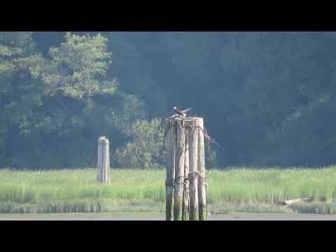 Osprey first flight