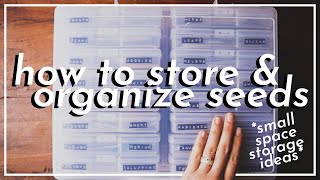 How to Organize & Store Seeds | Small Space Gardening Ideas