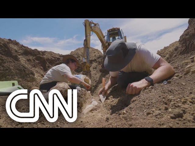 Fóssil de elasmosaurus é encontrado na Austrália | LIVE CNN