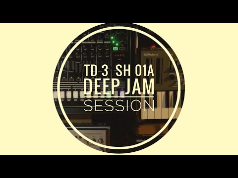 Behringer TD-3 // Roland TR-8 // JX-03 // SH-01A // JAM SESSION