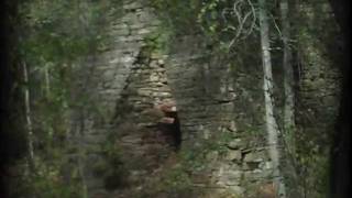 Demons of Blackberry History