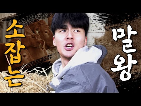 갑자기 성사된 100kg 송아지와의 1:1 매치! 말왕이 이길 수 있을까?｜[머슴아 말왕] EP.05