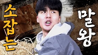 갑자기 성사된 100kg 송아지와의 1:1 매치! 말왕이 이길 수 있을까?｜[머슴아 말왕] EP.05
