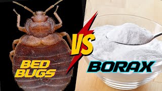 Does Boric Acid REALLY work for Bed Bugs? [COMPLETE Tutorial]