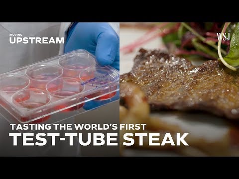 Trying The World's First Test-Tube Steak