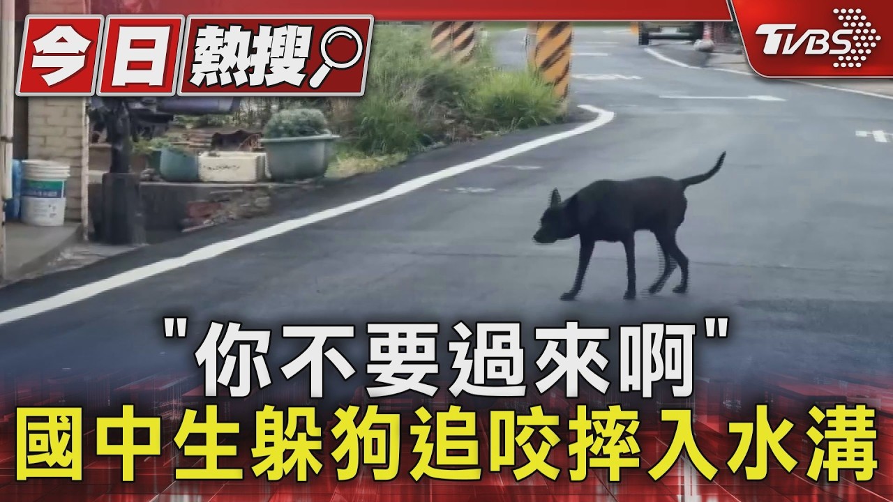 影音/國中生騎車遭狗追咬!慌張閃避「連人帶車摔水溝併軌」腳踝受傷