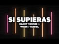 Daddy Yankee Wisin Y Yandel Si Supieras Lyrics