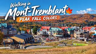 Fall Colors at Their Peak! 🍁 | Mont-Tremblant 🇨🇦 | 4K Walking Tour