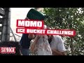 Le #IceBucketChallenge de Momo 