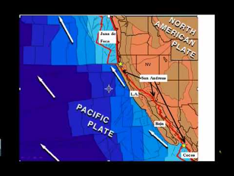 image-What plate is Baja on?