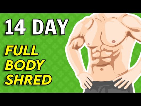 HIIT Cardio Home Fat and Calories Burning Workout 14 Day Full Body Fat Shred