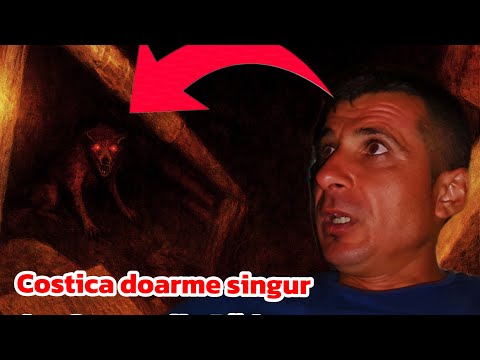 Nu cred ce s a întâmplat ! Costica doarme singur la Căsuța din Pădure !