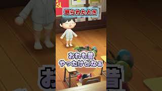 怒ったときの当たりとハズレの先生www [あつまれどうぶつの森]