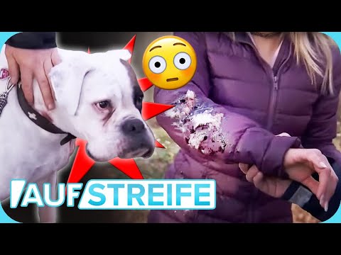 Von Hund GEBISSEN 😬​ Was steckt hinter der Attacke des aggressiven Tiers? | Auf Streife | SAT.1