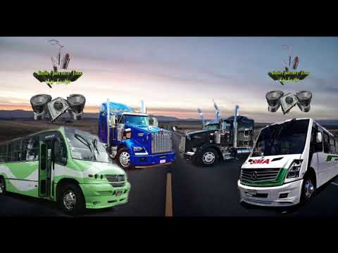 Brian Mart  Hadley Electro Cornetas Epicenter Bass By Bestia