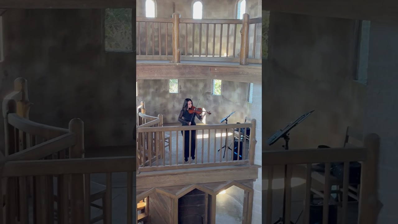 Promotional video thumbnail 3 for Serene Strings Violinist