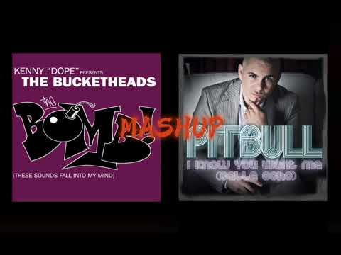 Pitbull (i know you want me) & The bucketheads (the bomb) Mashup