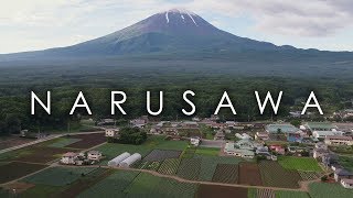 鳴沢村のキャベツ畑と富士山の空撮映像 /  Cabbage farm of Narusawa Village