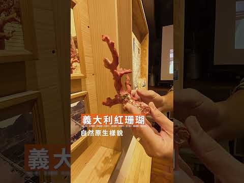 島遊帶你玩｜宜蘭隱藏版手作體驗，巷弄裡竟然有一家珊瑚博物館?!