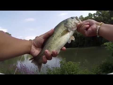 Exploring and Fishing the Runnemede Lake & Surroundings (Runnemede, NJ)